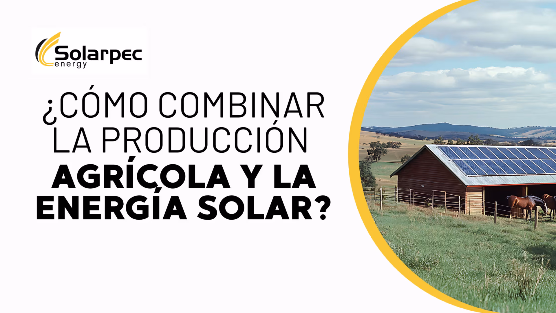 Agrivoltaica ¿Cómo combinar la producción agrícola y la energía solar?