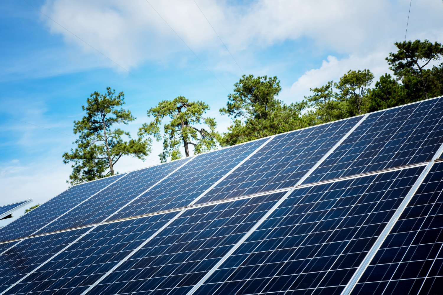 ¿Para qué sirven los paneles solares?