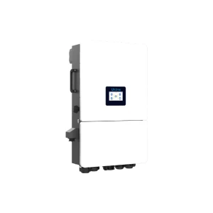 Producto 589 - Imagen 2
